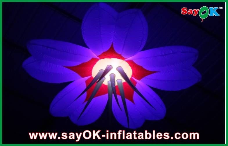 دکوراسیون دکوراسیون بادی بادکنکی 2m دایره گل طولانی مدت